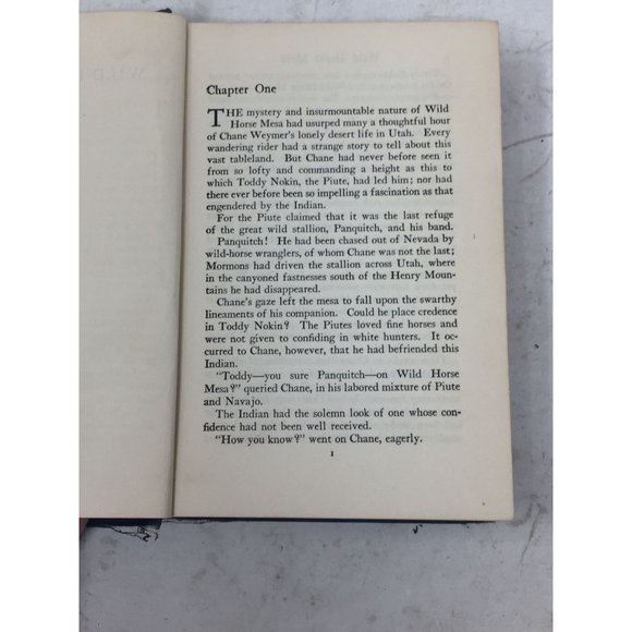Zane Grey - Wild Horse Mesa - Western Hardcover Book - Picture 8 of 16